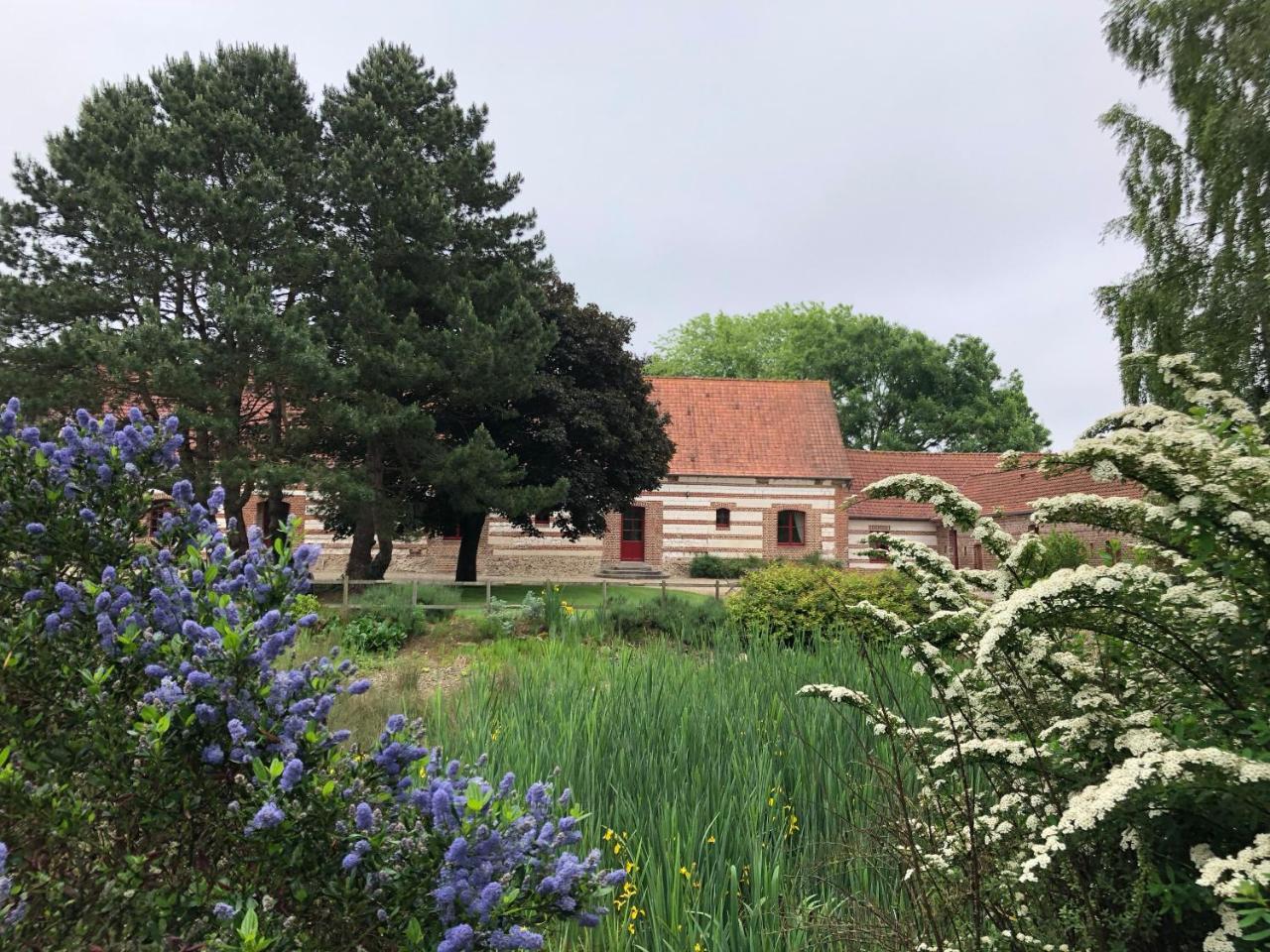 La Ferme De Mezoutre Villa Vironchaux Екстериор снимка